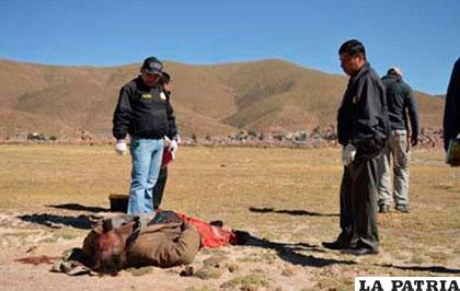 Funcionarios de la Felcc observan el cadáver