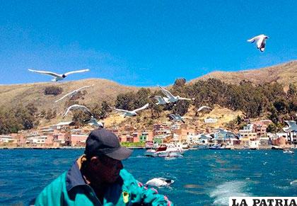 El Titicaca también está en peligro