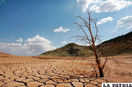 Sequía en Cochabamba y Tarija provoca problemas
