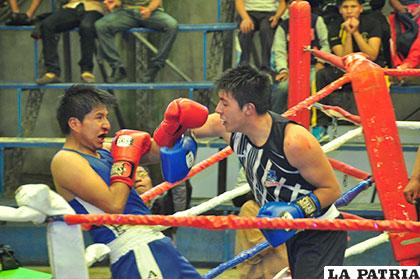 Las actividades el boxeo se reanudarán en el mes de enero