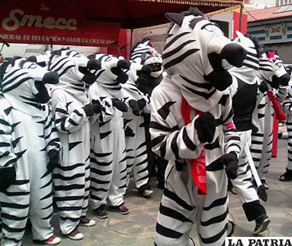 Cebras de La Paz /ANF