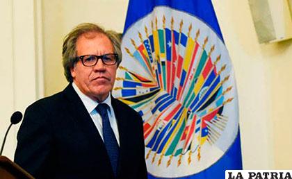 Luis Almagro, secretario general de la OEA /ERBOL/Archivo