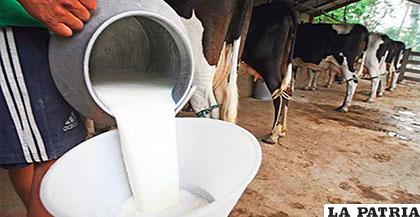 El nuevo precio de la leche cruda beneficiará a los productores /eldeber.com.bo