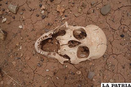 Se encontró gran cantidad de restos humanos