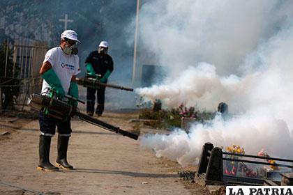 El gobierno brasileño registró en noviembre su primera campaña de combate al mosquito /epimg.net