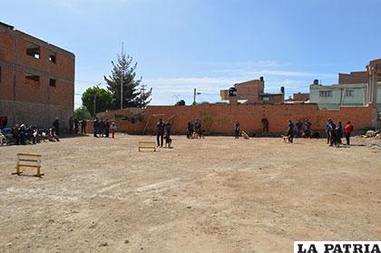 El terreno utilizado para la instrucción de los canes es un lote baldío 