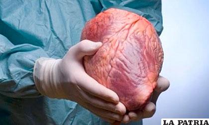 Se cumplen 50 años del primer trasplante de corazón en el mundo