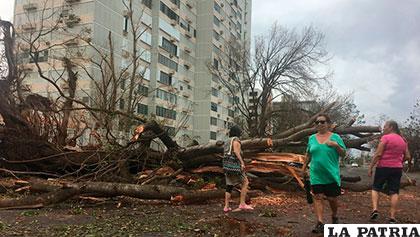 Los huracanes provocaron graves daños en Puerto Rico