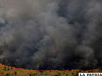 Un bosque amazónico arde en Brasil. Agosto 4. Reuters/Bruno Kelly