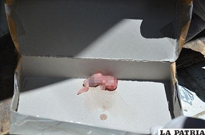El feto fue encontrado en un basurero del baño de mujeres que se encuentra en el cuarto piso del edificio Economía