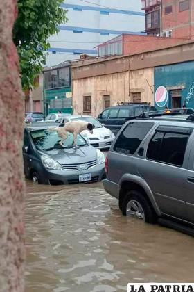 Vecinos de distintos sectores registraron varias imágenes por la gravedad de la situación /RR.SS.