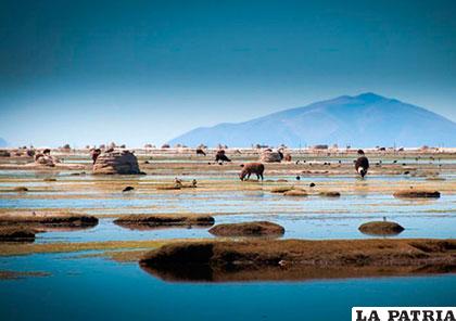 Lluvias mejorarán producción en las provincias