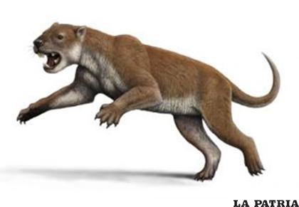 El marsupial carnívoro se movía con la ayuda de una cola fuerte/SCOOP.IT
