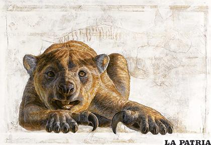 El león marsupial tenía un peso de algo más de 100 kilos/ NATIONALGEOGRAPHIC