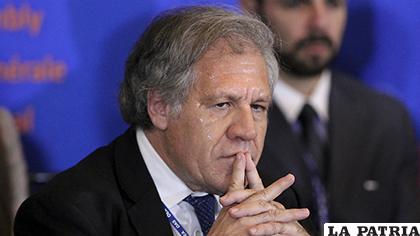 Luis Almagro, secretario general de la OEA / aporrea.org