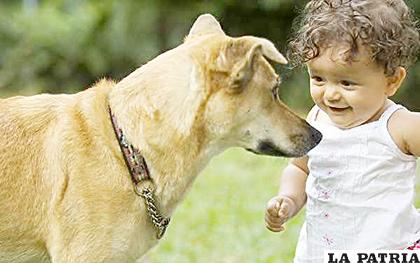 Recomiendan no dejar solos a niños con mascotas /escuelacaninamaya.com

