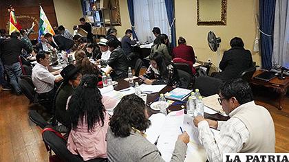 Comisión Mixta de Constitución de la Asamblea Legislativa /APG