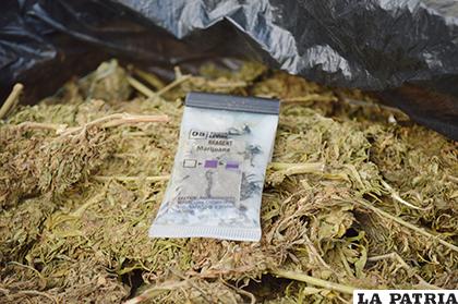 La marihuana que se le secuestró a la niña/ LA PATRIA