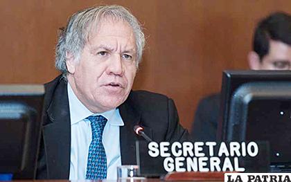 El secretario general de la OEA, Luis Almagro /OEA
