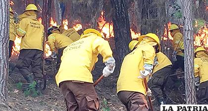 Una brigada de hombres trabajan en sofocar el fuego ante la ola de incendios forestales /EL NUEVO DIARIO
