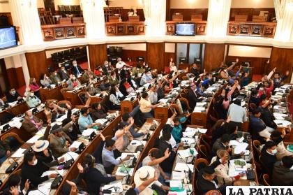 El pleno de la Cámara de Diputados /ABI