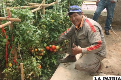 Producción de verduras y hortalizas en Oruro /SWISSCONTACT