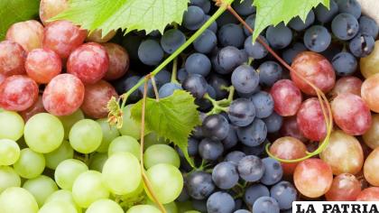 La uva es un rico alimento y ayuda a la salud /COCINA Y VINO