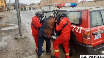 Tras el atropello en la avenida Tacna, el herido es socorrido a un nosocomio /LA PATRIA