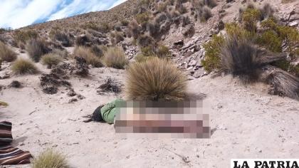La víctima de feminicidio fue hallada en la localidad de Carangas /Cortesía