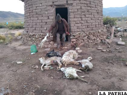 La preocupación fue para los comunarios que perdieron a su ganado /Cortesía