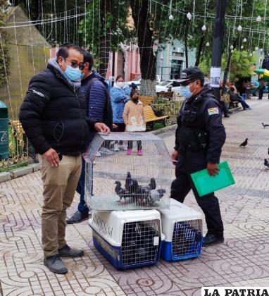 Liberación de las aves en la Plaza Principal /LA PATRIA