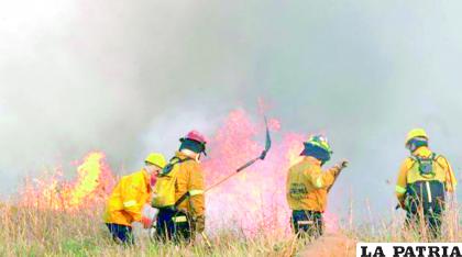 Bomberos tratando de apagar el fuego registrado en Santa Cruz