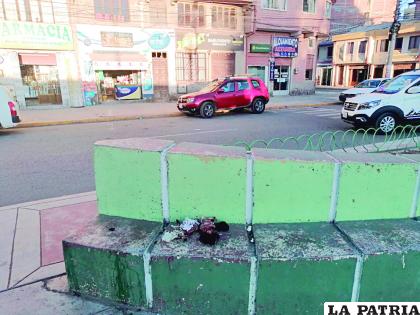 Fueron dejados en la jardinera por inmediaciones de la exterminal 