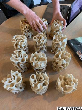 Los sustratos fueron impresos en 3D /EL TIERRERO
