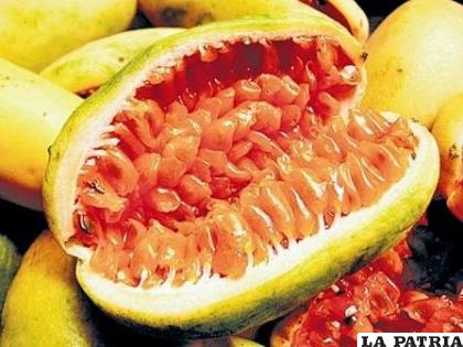 El tumbo es un buen alimento para la salud /MEDICINA TRADICIONAL
