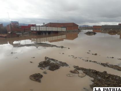 Una calle en la Junta Vecinal “Nueva Esperanza” /D3