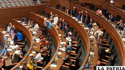 Los parlamentarios durante la sesión de la Cámara de Diputados
 /LA PATRIA