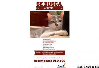 El anuncio publicado para hallar a Tito /RRSS
