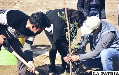 Los vecinos se involucraron en la plantación de más de 100 olmos /GAMO
