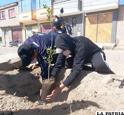 También se participó de campañas de arborización /GAMO 