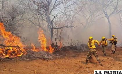 Varios incendios forestales devoran medio millón de hectáreas en toda Bolivia /EL PAÍS
