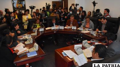 La Comisión de Constitución de la Cámara de Diputados sesionó varias horas por la emergencia /APG