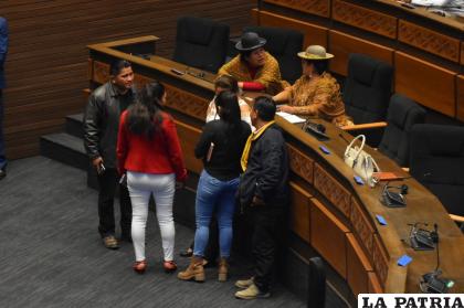 La discusión entre parlamentarios fue constante /APG