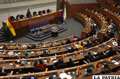 Las sesiones en el Legislativo fueron bochornosas para elegir al Defensor /APG
