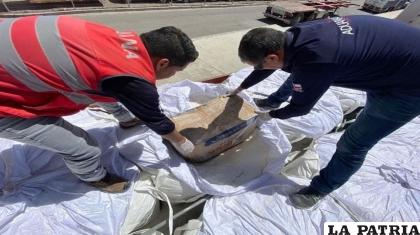 La droga estaba oculta en sacos de mineral dentro el camión / Soy Iquique