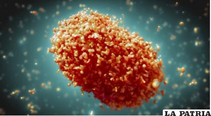 Imagen referencial del virus / ABI