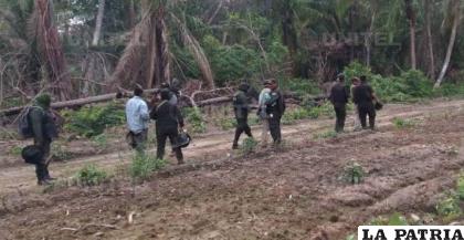 Policías desalojan a avasalladores de tierras en la provincia Guarayos /ANP