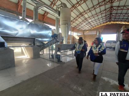 La idea es potenciar la producción en el municipio de Coipasa /FPS