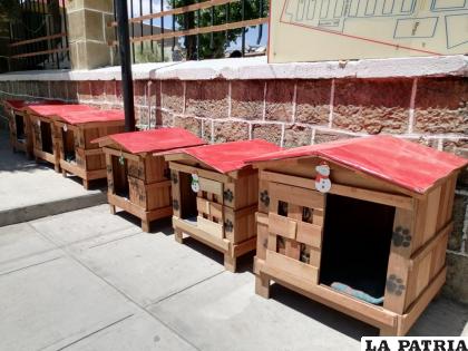 Comunidad Ciudadana en Oruro pide defensa en libertad de Fernando Camacho /Referencial