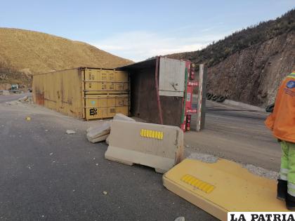 El camión terminó volcado en la carretera / LA PATRIA
